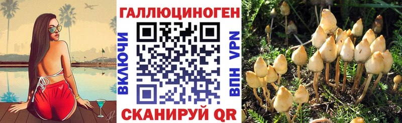 Галлюциногенные грибы Psilocybine cubensis  наркота  Богородицк 